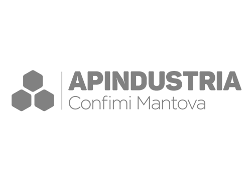Api industra